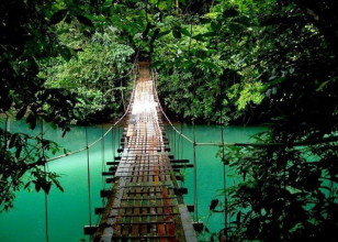 Bridge over Rio Celeste