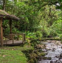 El-silenco-lodge & jungle