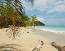 Cahuita_nat_park_beach