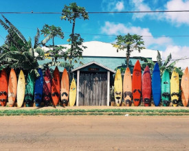 surboards