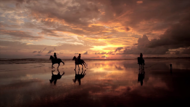 Sunset beach horseback ride