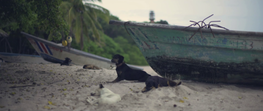 Lazy days on the beach