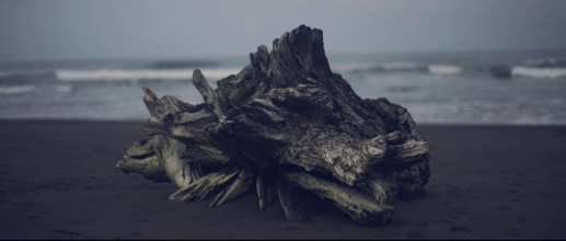 Driftwood